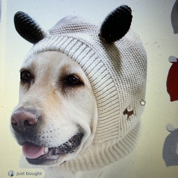 Doggie hat - Picture 1 of 9